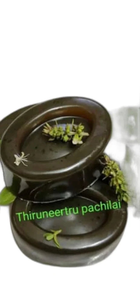 Thiruneetru Pachilai Herbal Soap