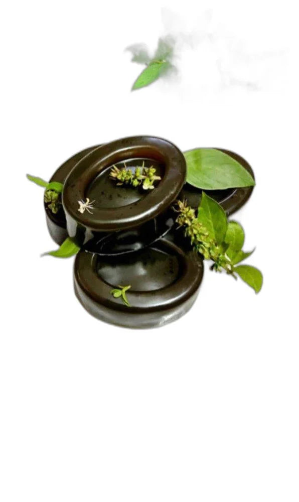 Thiruneetru Pachilai Herbal Soap